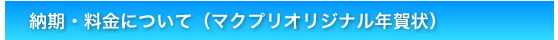 納期・料金について(マクプリオリジナル年賀状)